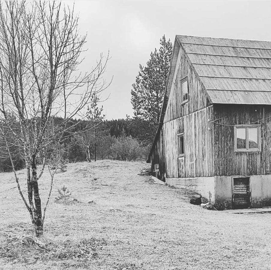 Vukov Konak - Wolf'S Lodge Žabljak Extérieur photo