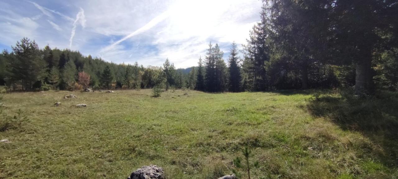Vukov Konak - Wolf'S Lodge Žabljak Extérieur photo