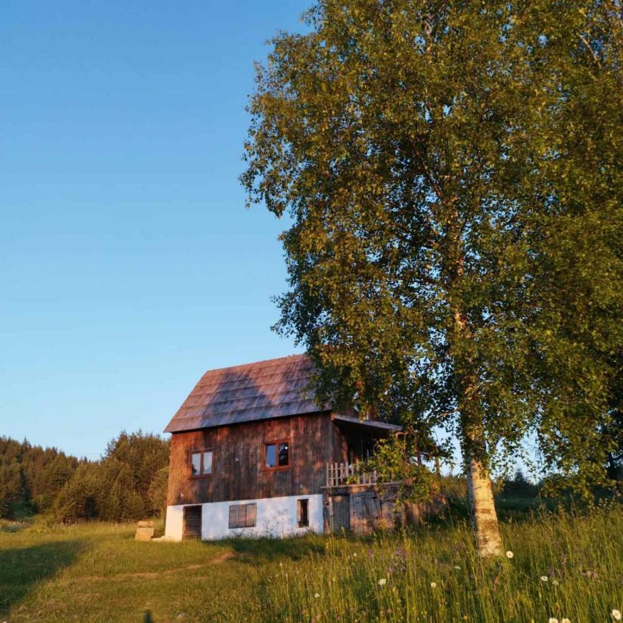 Vukov Konak - Wolf'S Lodge Žabljak Extérieur photo