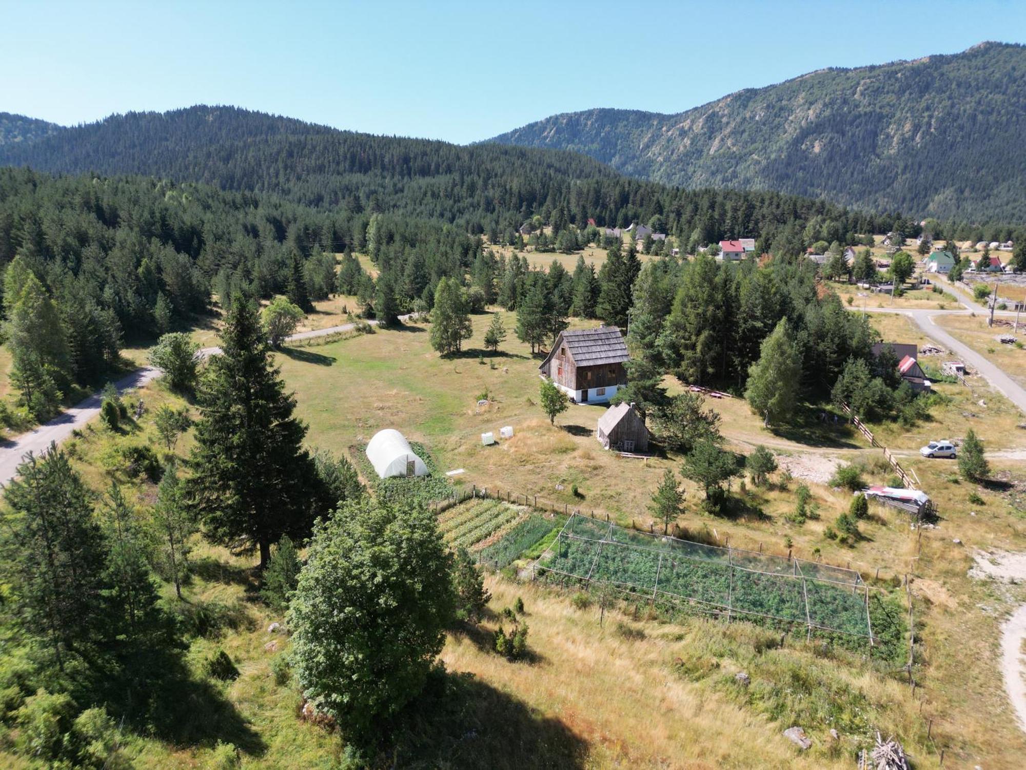 Vukov Konak - Wolf'S Lodge Žabljak Extérieur photo