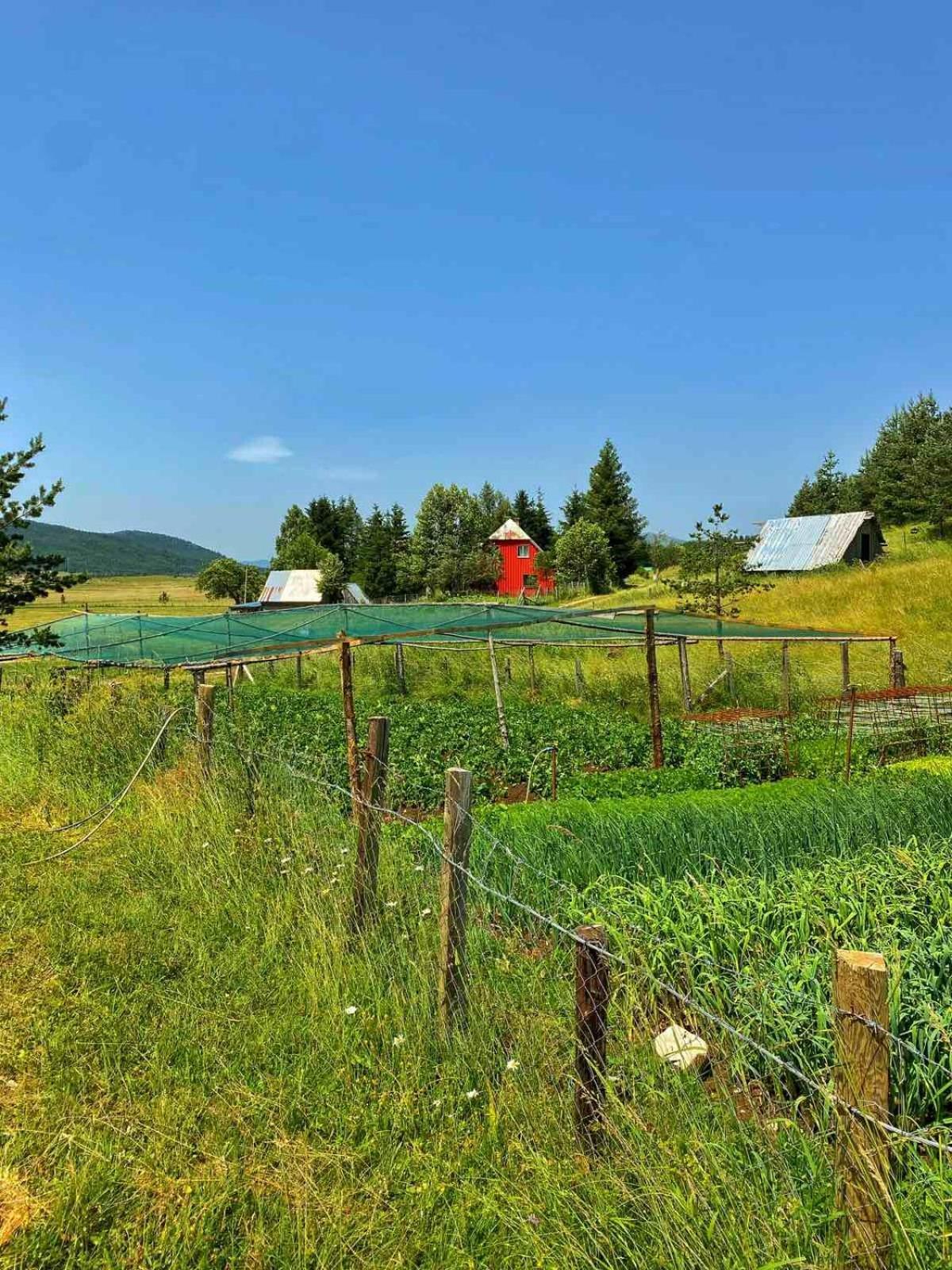 Vukov Konak - Wolf'S Lodge Žabljak Extérieur photo