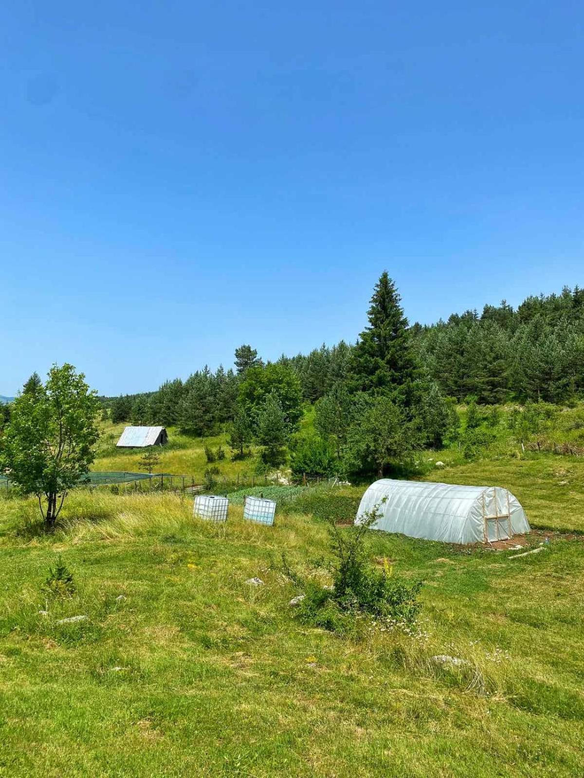 Vukov Konak - Wolf'S Lodge Žabljak Extérieur photo