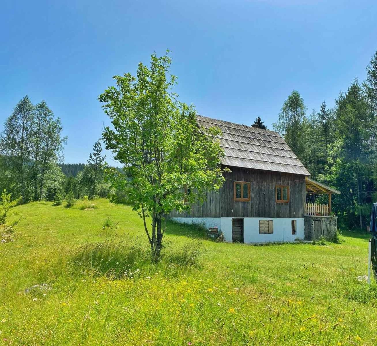 Vukov Konak - Wolf'S Lodge Žabljak Extérieur photo