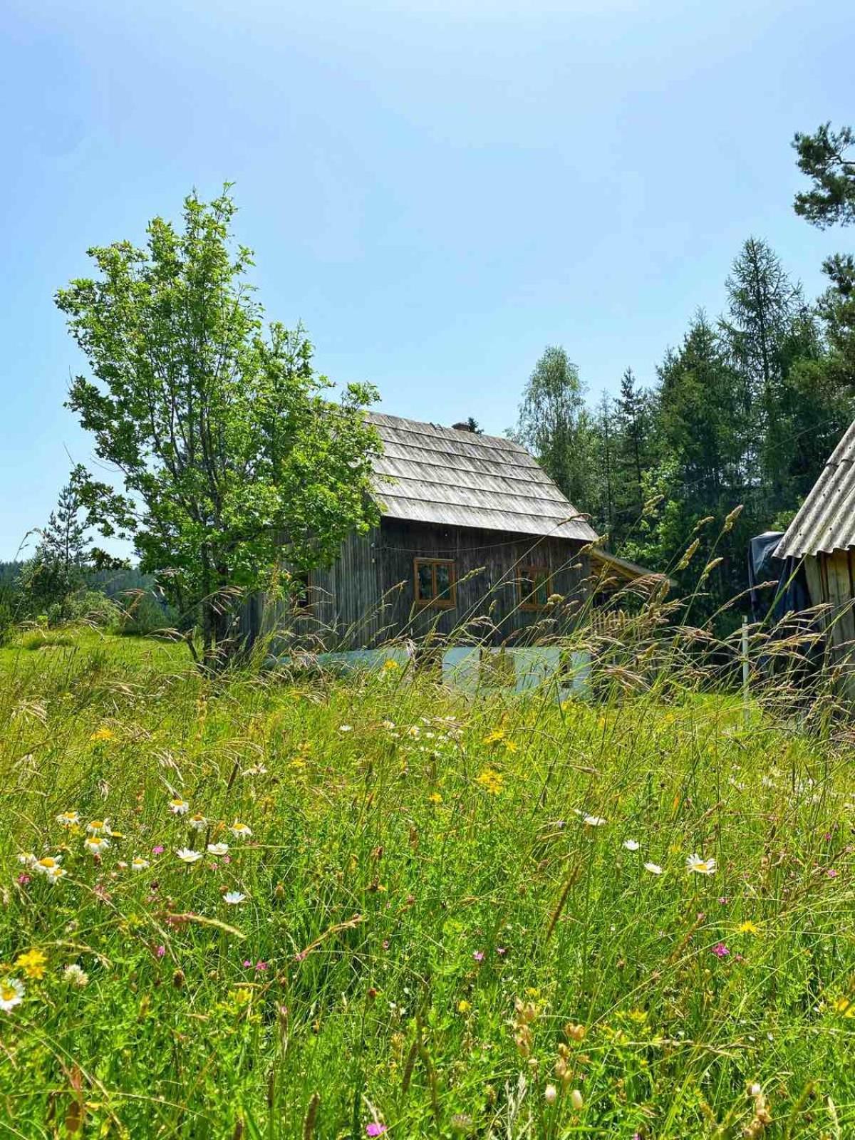 Vukov Konak - Wolf'S Lodge Žabljak Extérieur photo