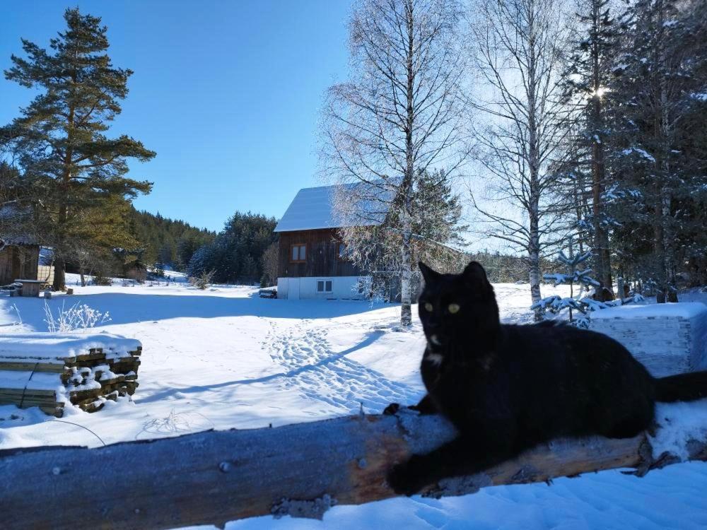 Vukov Konak - Wolf'S Lodge Žabljak Extérieur photo