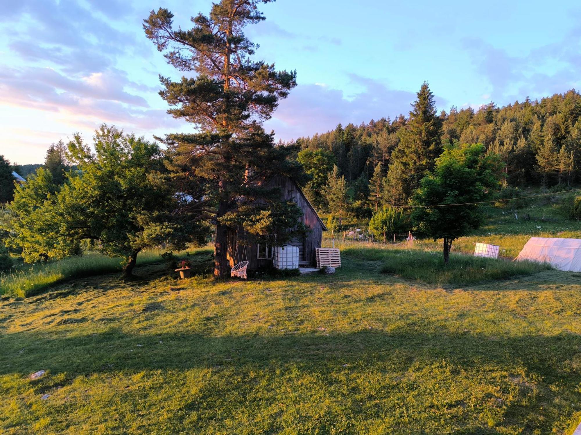 Vukov Konak - Wolf'S Lodge Žabljak Extérieur photo