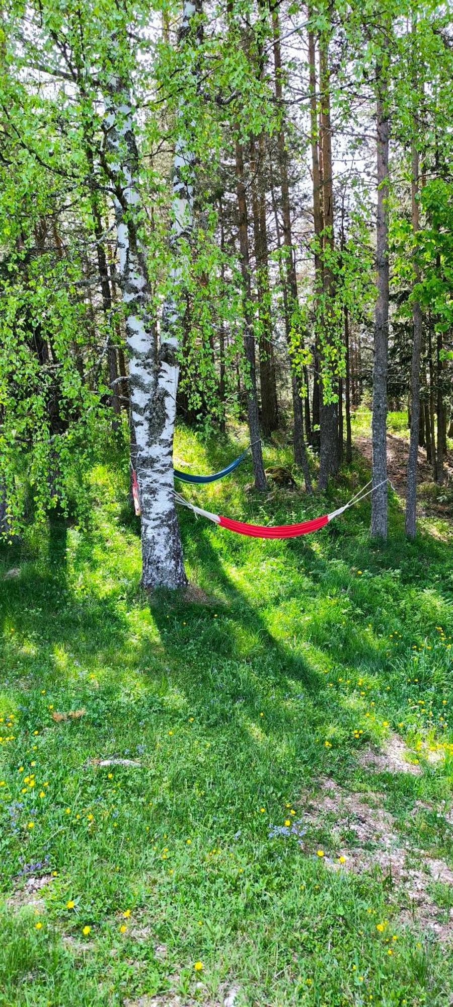 Vukov Konak - Wolf'S Lodge Žabljak Extérieur photo