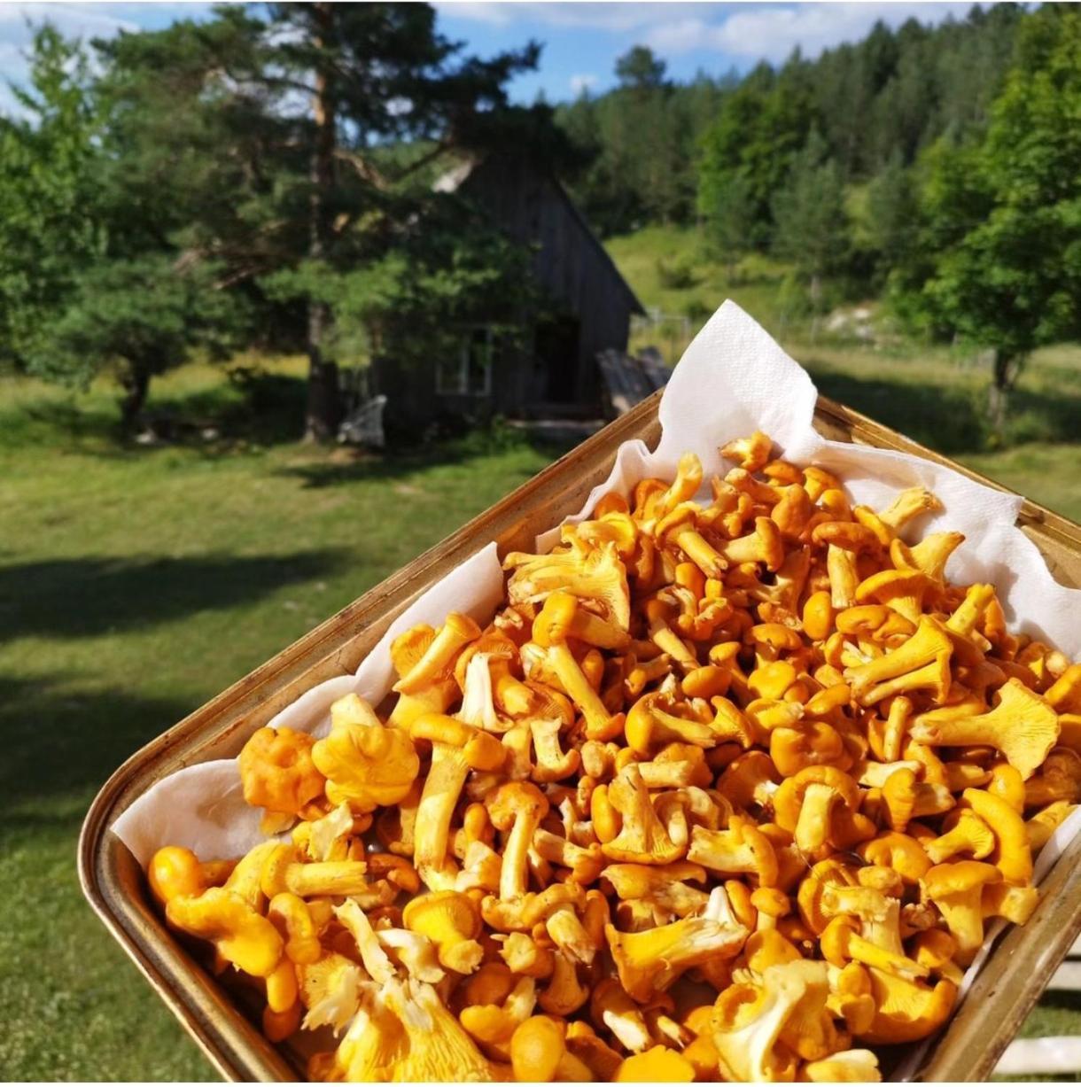 Vukov Konak - Wolf'S Lodge Žabljak Extérieur photo