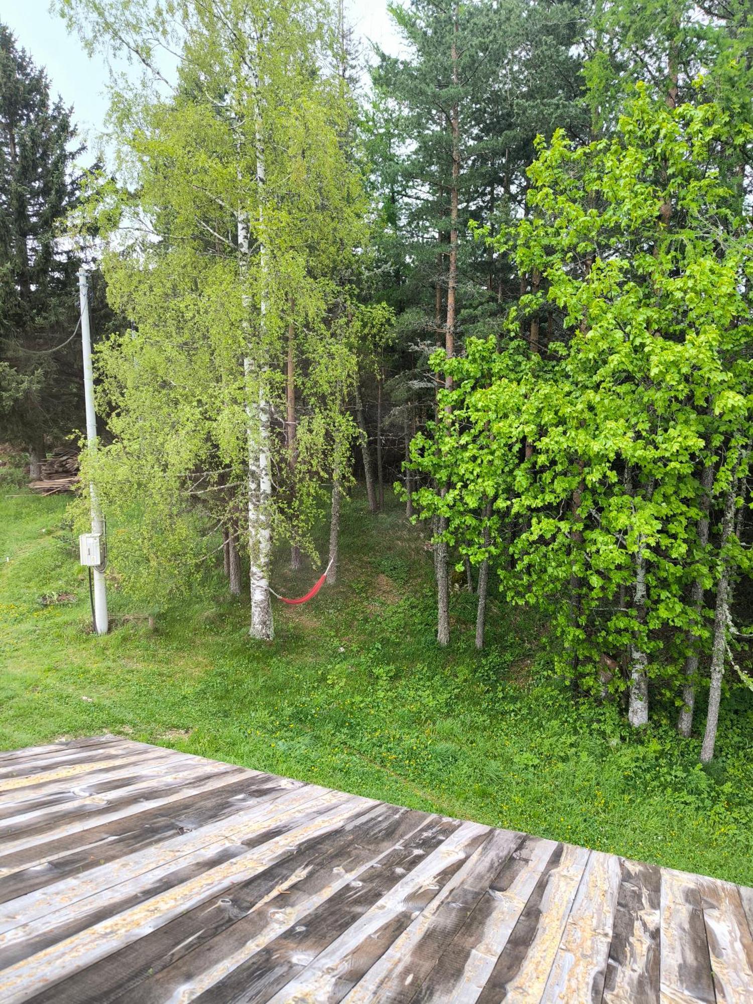 Vukov Konak - Wolf'S Lodge Žabljak Extérieur photo